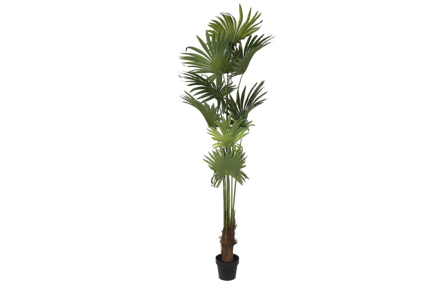 Detall ITEM Planta Poliester Pp 90X90X210 Palmera Verde Hot