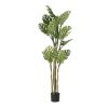 Detall ITEM Arbol Poliester Pp 75X75X180 Monstera Verde Online