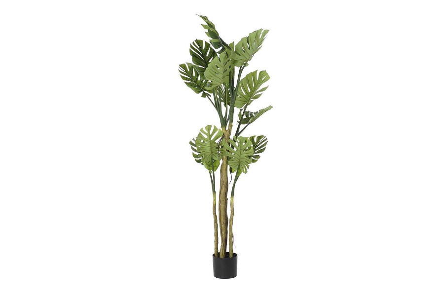 Detall ITEM Arbol Poliester Pp 75X75X180 Monstera Verde Online