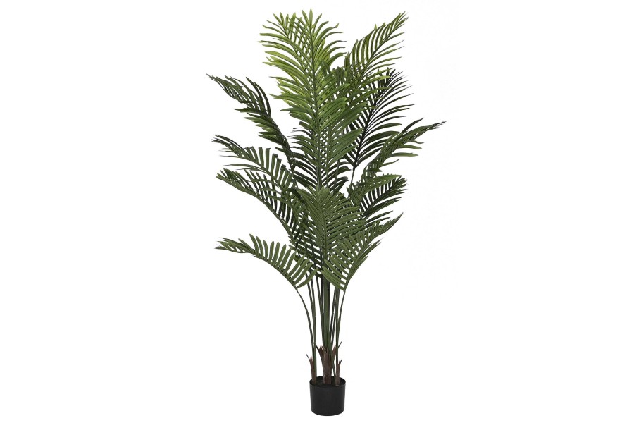 Detall ITEM Planta Pe Cemento 80X80X160 Palmera Verde Clearance