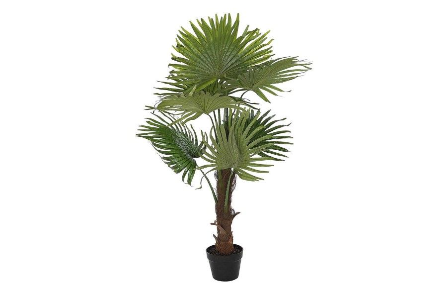 Detall ITEM Planta Pe 50X50X120 Palmera Fan Verde Wholesale