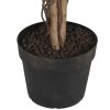 Detall ITEM Arbol Pe 100X100X210 Ficus Verde Clearance