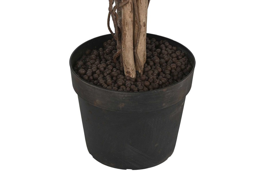 Detall ITEM Arbol Pe 100X100X210 Ficus Verde Clearance