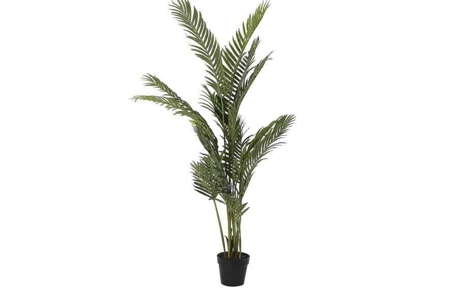 Detall ITEM Planta Pe 50X50X160 Palmera Areca Verde New