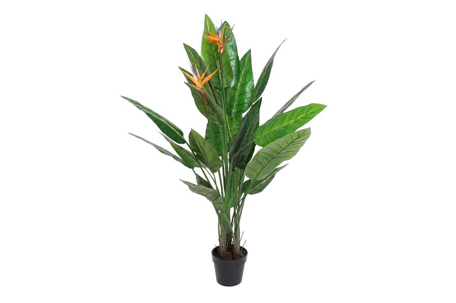 Detall ITEM Planta Pvc 100X100X145 Strelitzia Wholesale