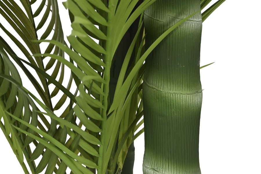 Detall ITEM Planta Pe Cemento 100X100X235 Palmera Verde Online