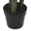 Detall ITEM Planta Pe 50X50X150 Dieffenbachia Verde Wholesale