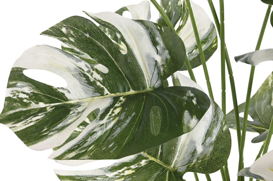 ITEM Planta Pp Ceramica 46X46X66 Monstera Verde Clearance