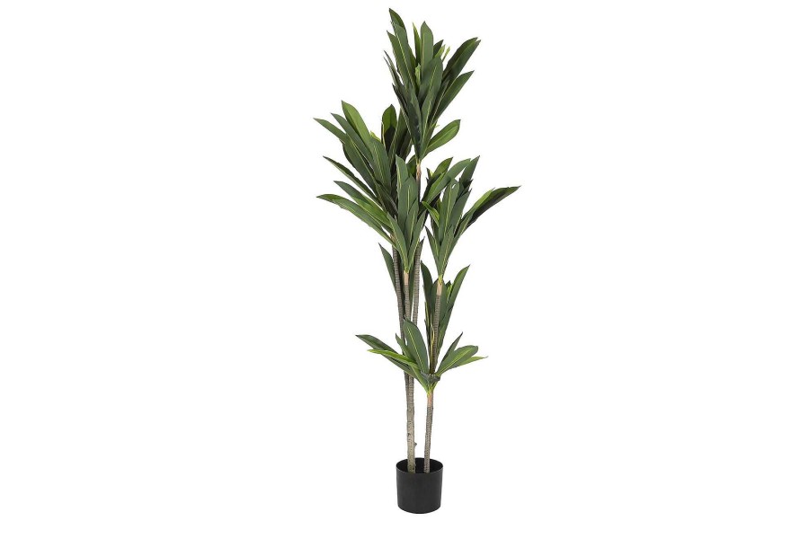 Detall ITEM Planta Poliester Pp 90X90X200 Dracena Verde Best