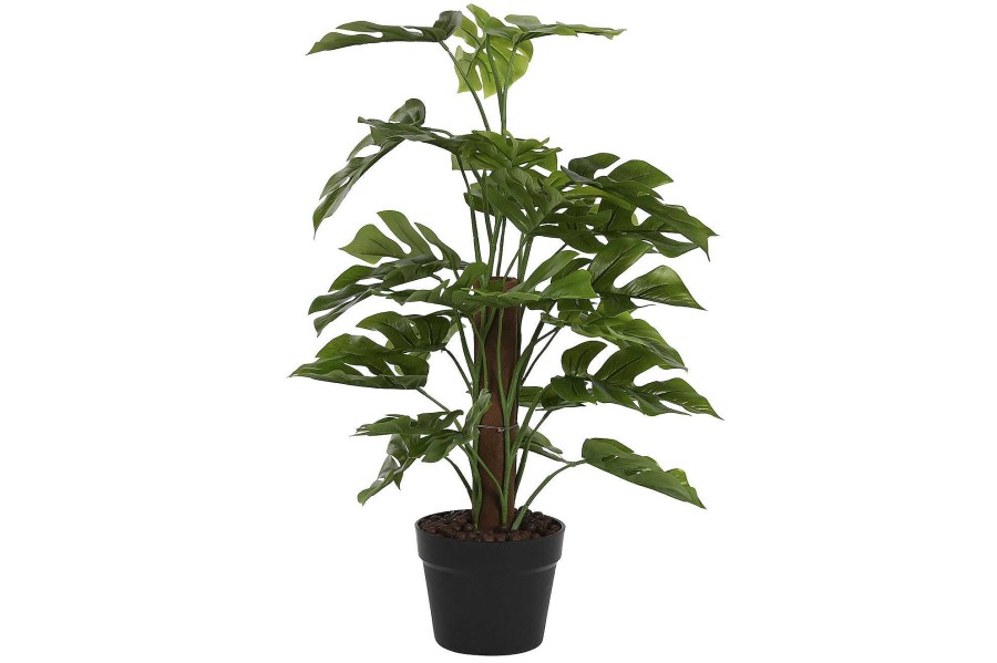 Detall ITEM Planta Pe 30X30X60 Monstera Verde New