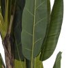 Detall ITEM Planta Poliester Pp 90X90X250 Palmera Bananera New