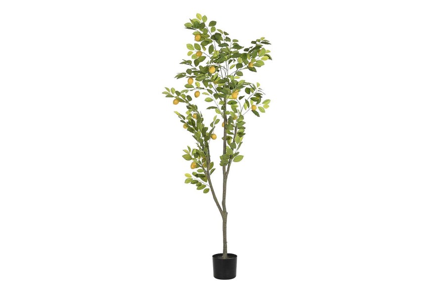 Detall ITEM Arbol Poliester Pp 90X90X180 Limonero Verde Clearance