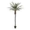 Detall ITEM Arbol Poliester Pp 100X100X230 Palmera Datilera Best