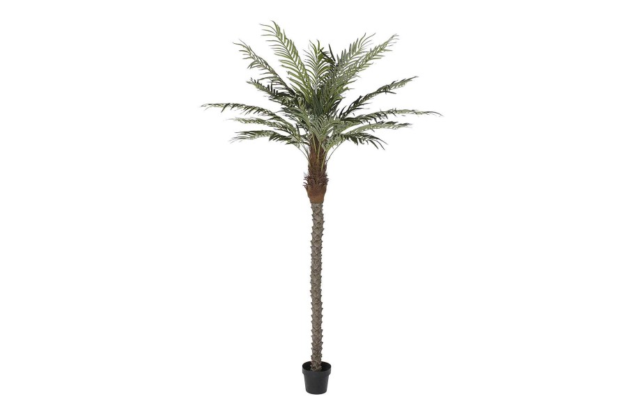 Detall ITEM Arbol Poliester Pp 100X100X230 Palmera Datilera Best