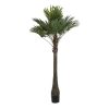 Detall ITEM Arbol Poliester Pp 100X100X205 Palmera Verde Wholesale