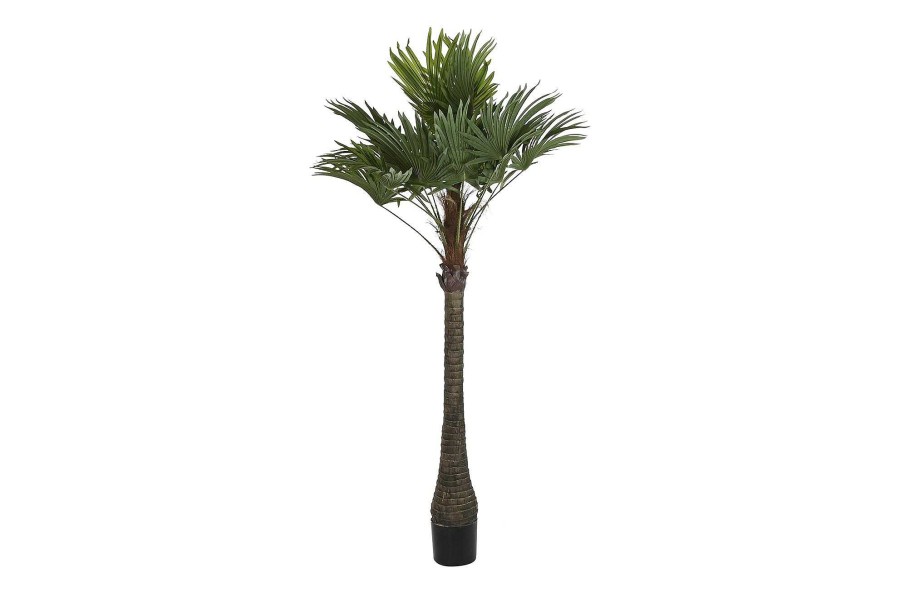 Detall ITEM Arbol Poliester Pp 100X100X205 Palmera Verde Wholesale